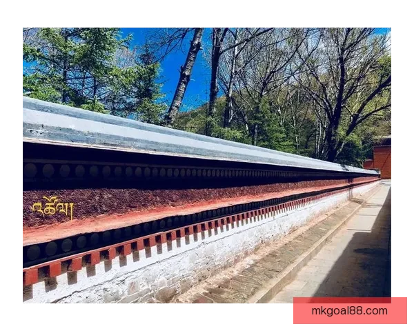 冬训进行时💪🏼💪🏼💪🏼力量觉醒砥砺前行锻造铁血意志奋斗青春冲锋备战未来